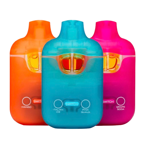 2G Boutiq Switch Disposables (Dual Flavor)