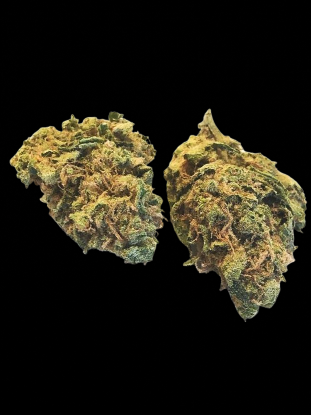 Top Shelf OZ - Cherry Dosi (H)