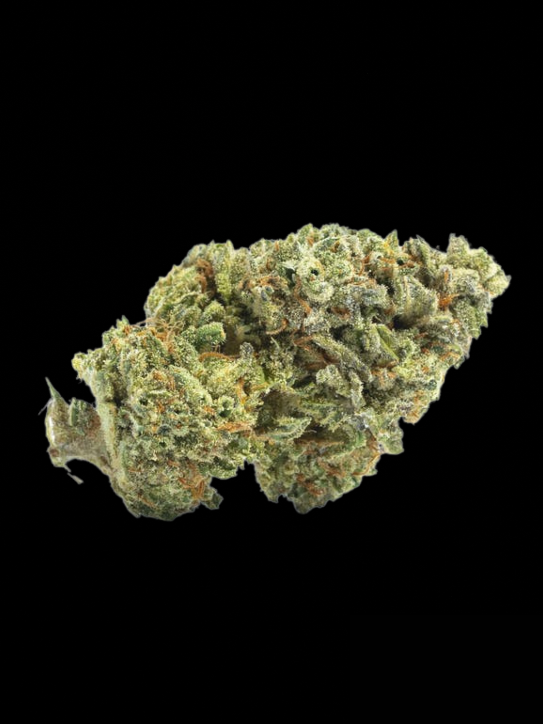 Exclusive Shelf - London Pound Cake (I)